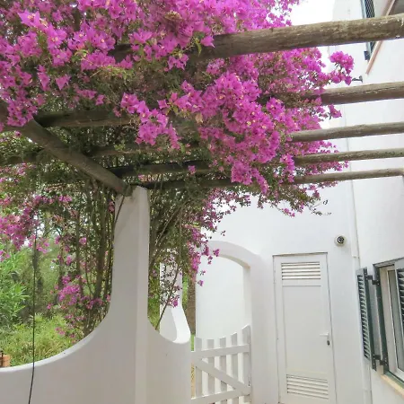 Casa Rosa Margarida Quinta Da Rocha