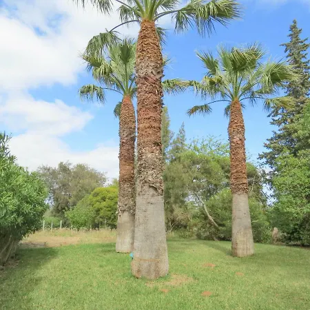 Casa Rosa Margarida Quinta Da Rocha